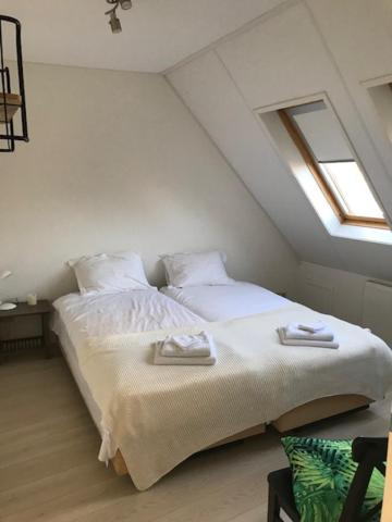 Three-Bedroom Apartment image 3