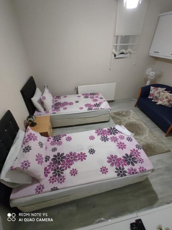 Standard Family Room image 2