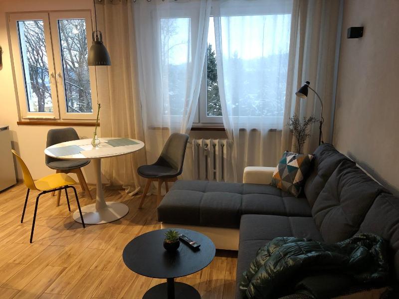 One-Bedroom Apartment image 2