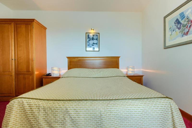 Hotel Villa Dvor - image 17