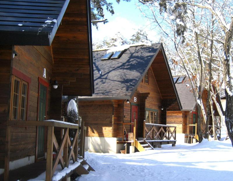 Hakuba Brownie Cottages - image 13