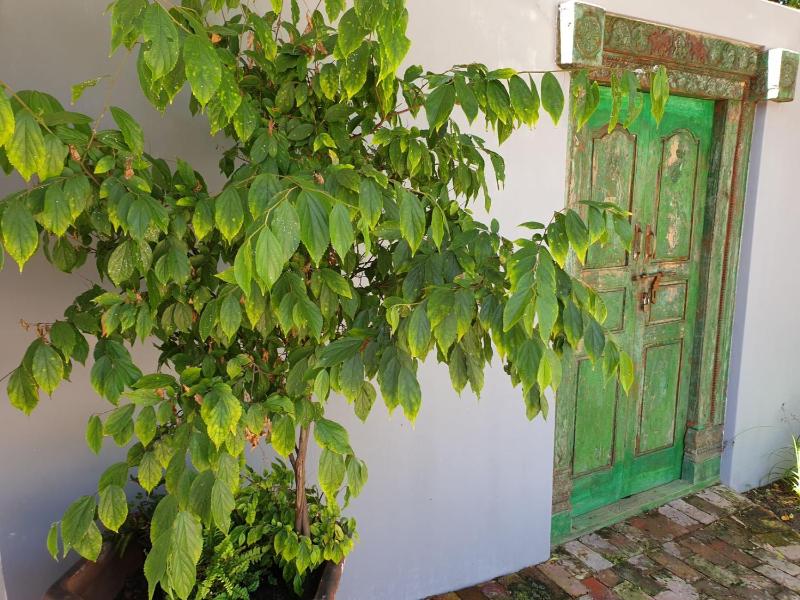 Long Story Guest House - image 16