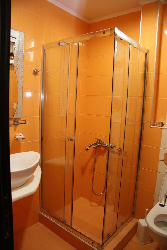 One-Bedroom Apartment image 2