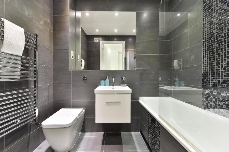 One-Bedroom Apartment image 3