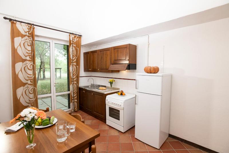 One-Bedroom Apartment image 4