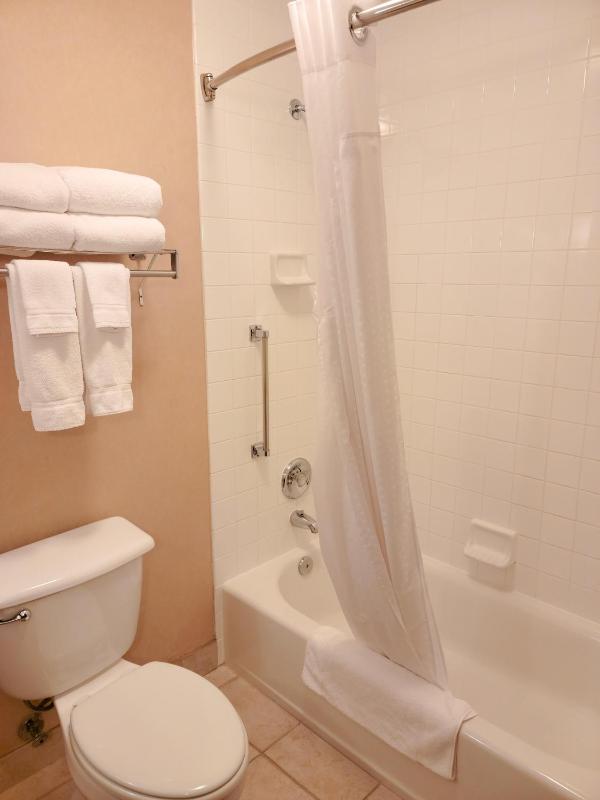 Standard Room image 4