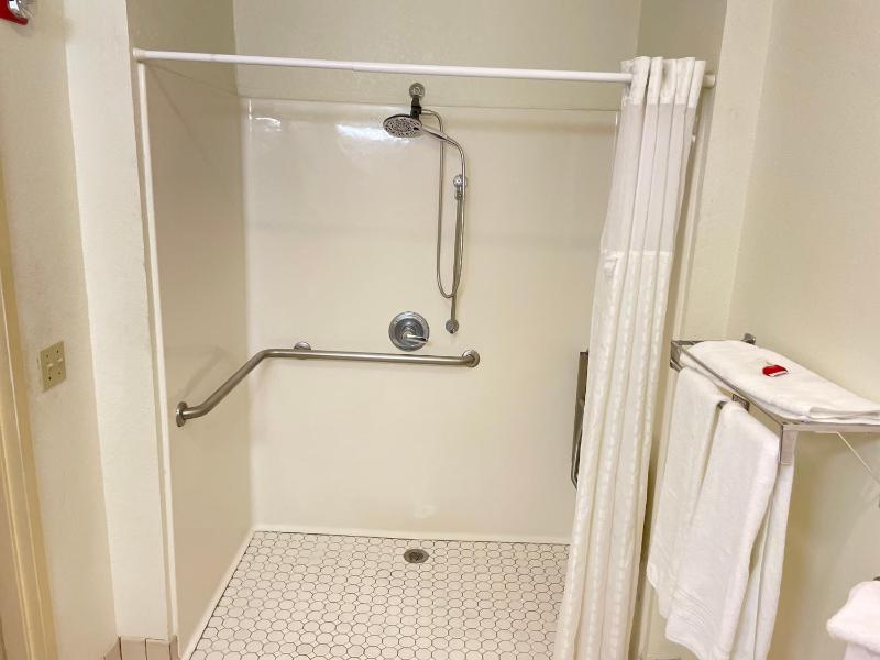 King  Studio Suite with Roll-in Shower - Mobility/Hearing Accessible - Non-Smoking image 4