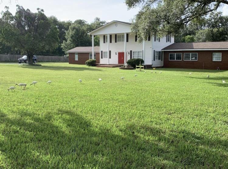 Seven-Bedroom House image 2