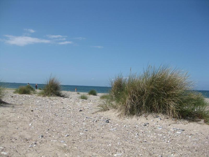Apartment with Garden View image 1