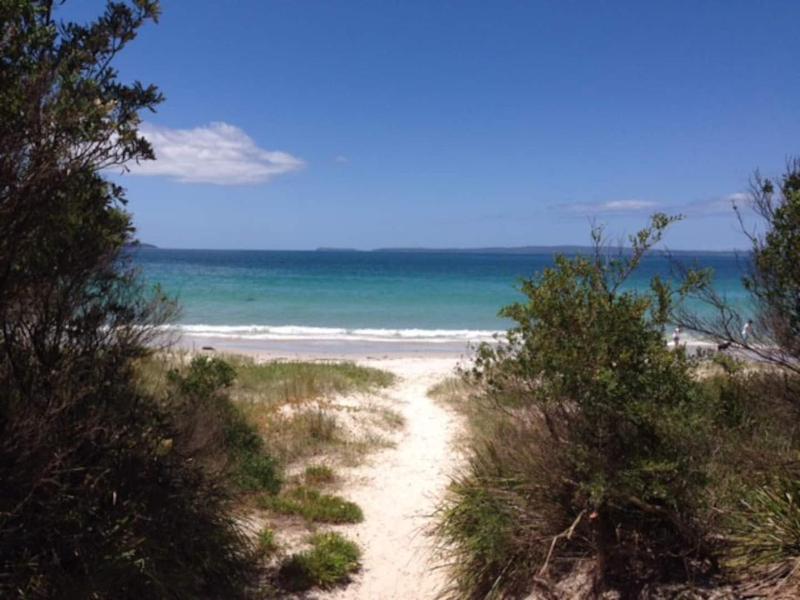 Watts @ Callala Beach-Pet Friendly - image 16