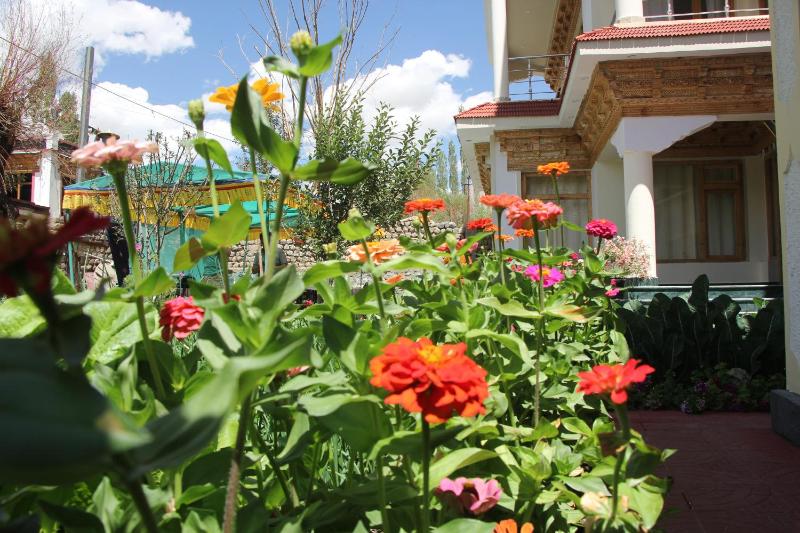 New Moon Guest House - image 5