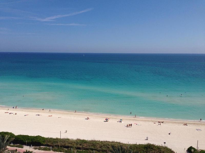 Superior One-Bedroom Suite with Direct Ocean View  image 4