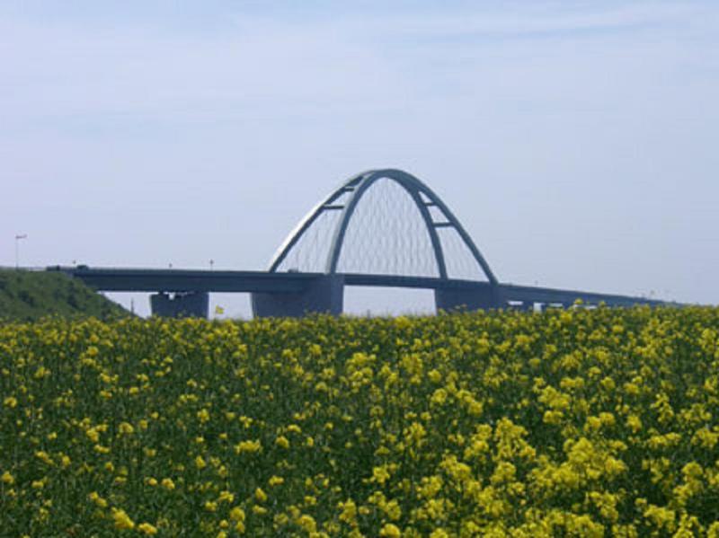 Apartment with Garden View image 2