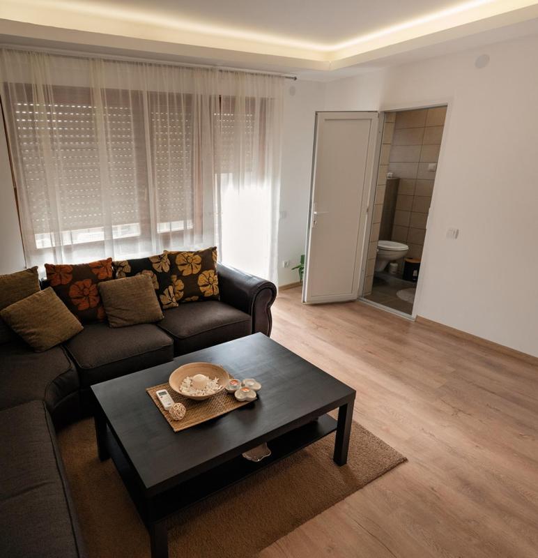 One-Bedroom Apartment image 2