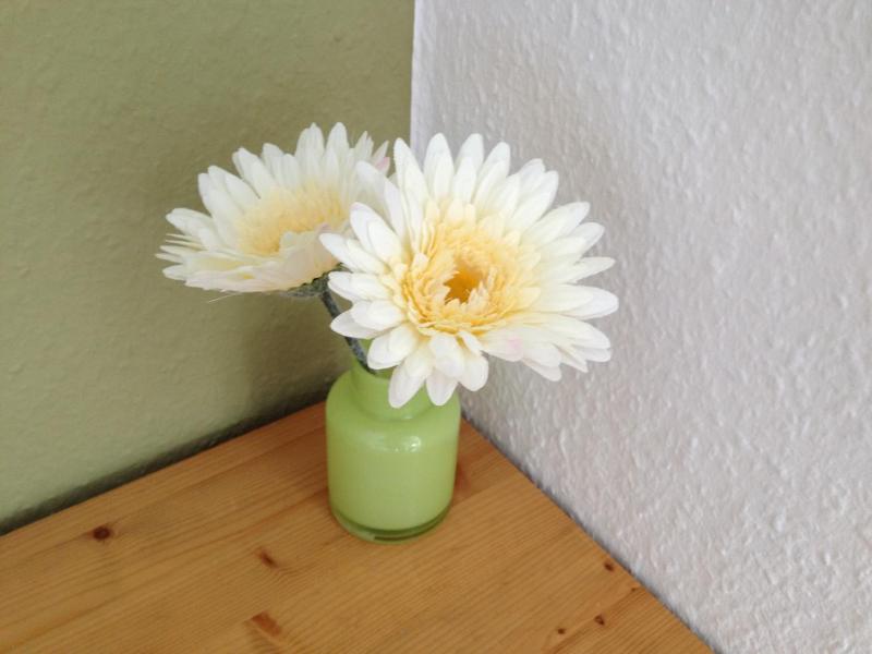 Single Room image 4