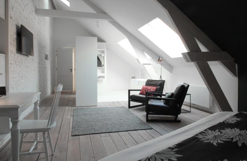 Loft Suite image 1