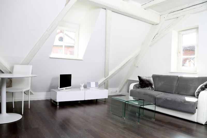 La Grenouillère apartment image 4