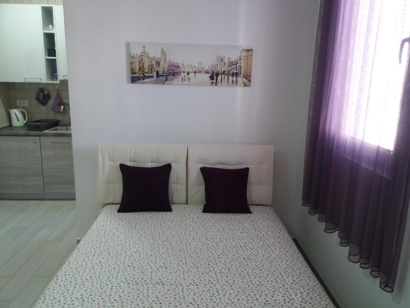 Apartments Aleksić - image 2