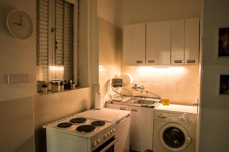 One-Bedroom Apartment image 3