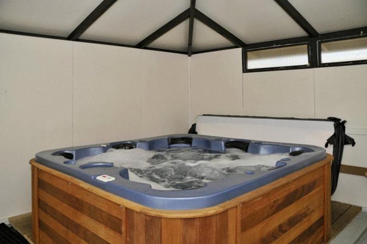 Accent On Taupo Motor Lodge - image 5