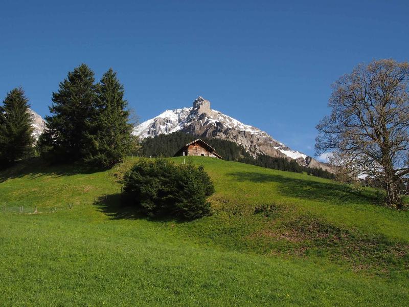 Apartment with Mountain View image 2