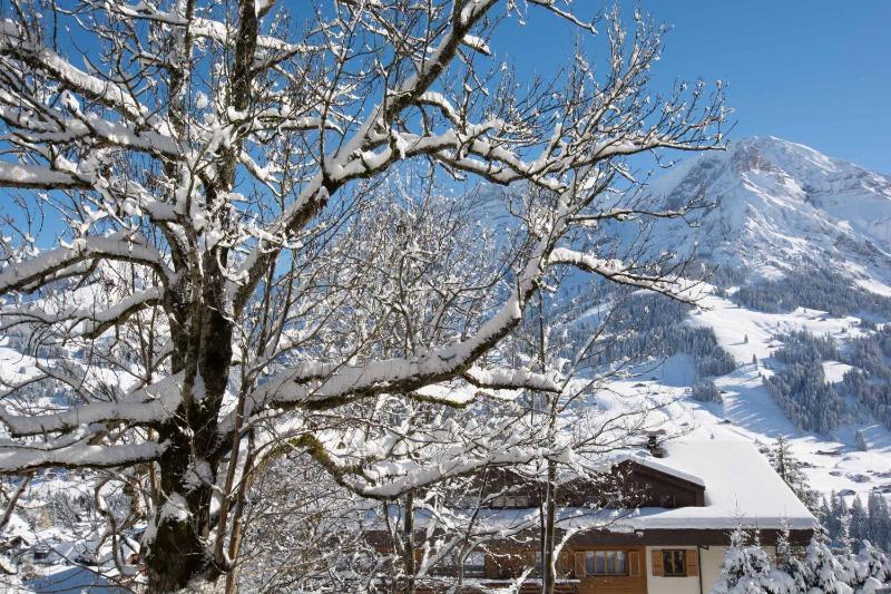 Apartment with Mountain View image 2