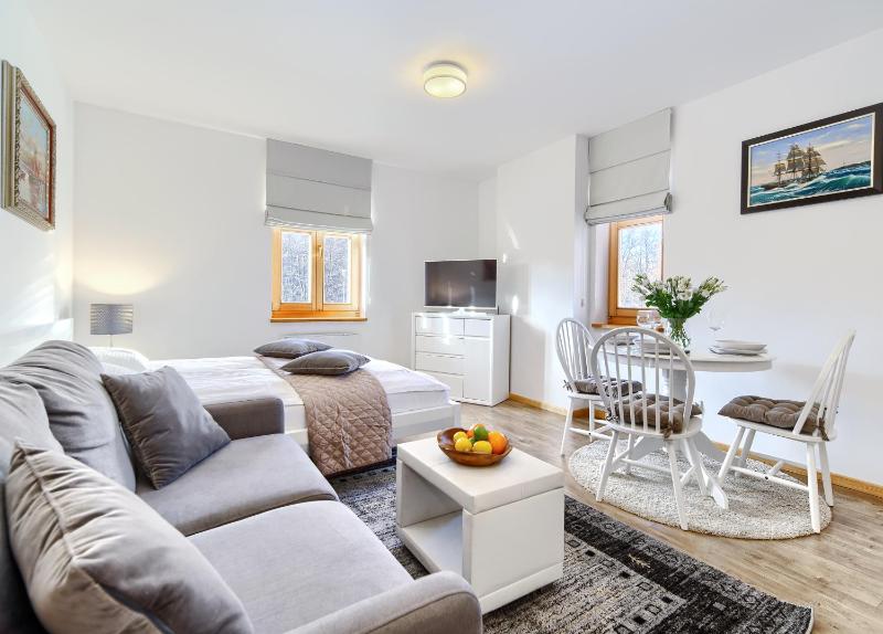 Studio Apartment image 1