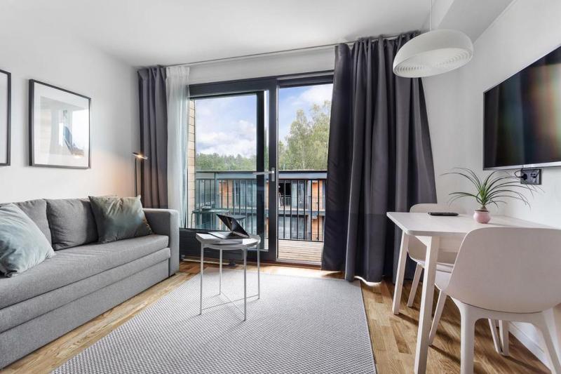 Studio Apartment image 3