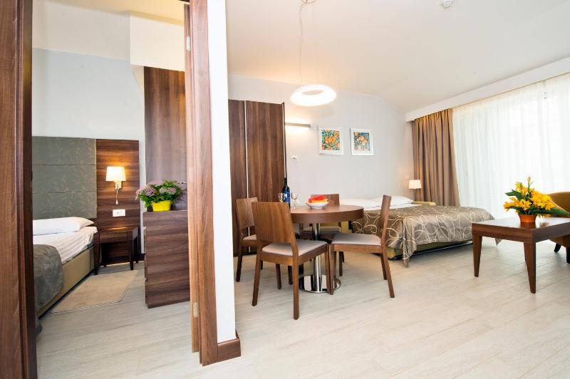 Superior One-Bedroom Apartment (4 Adults) image 4