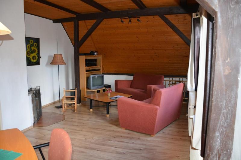 Holiday Home Abertamy - image 6