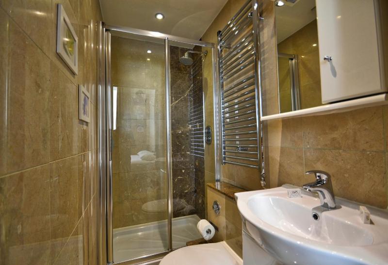 One-Bedroom Apartment image 1