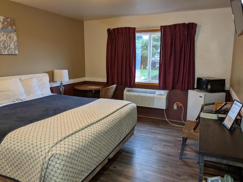 Standard King Room - Dog Friendly image 4