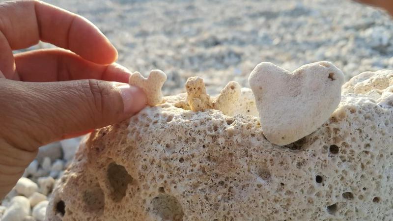 whitiedoggie Villa - image 15