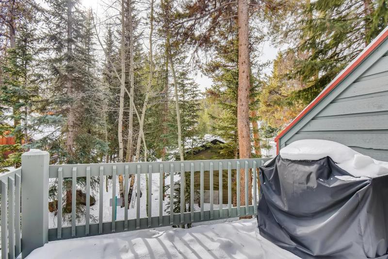 Pinecreek #F - 3 BR - Close to Town - Shuttle to Slopes - Pool and Hot Tub Access - image 27