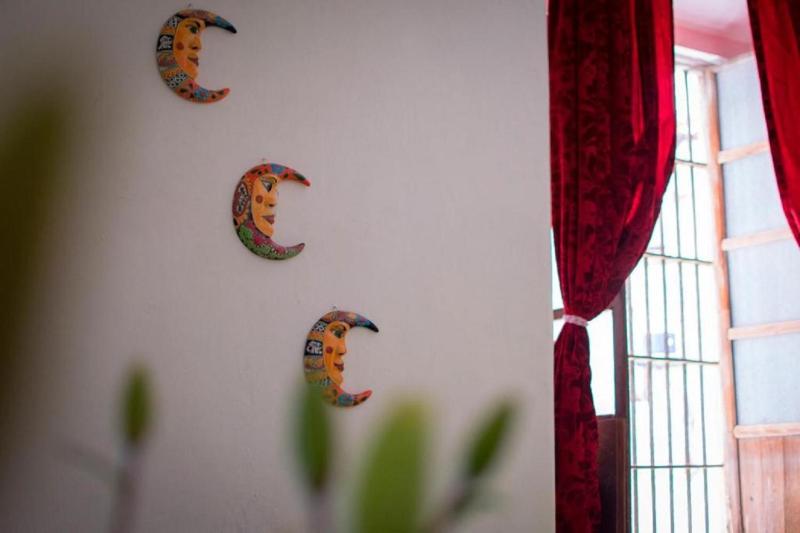 Casa Lupita Hostel - image 5