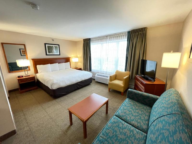 King Studio Suite image 4