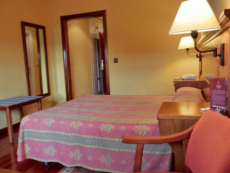 Large Single Room image 2