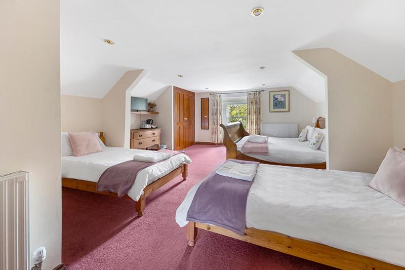 Family Room image 1
