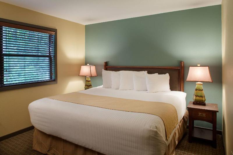 King Suite with Queen Bed and Sofa Bed - Non-Smoking image 4