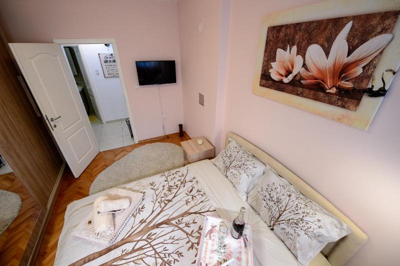 One-Bedroom Apartment image 4