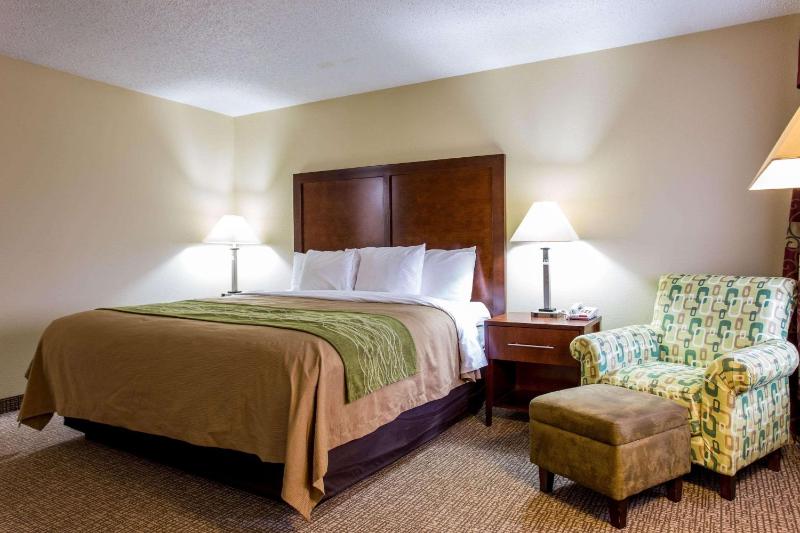 King Room - Non-Smoking image 3