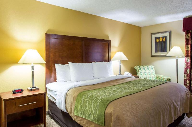 King Room with Roll-in-Shower - Accessible/Non-Smoking image 3