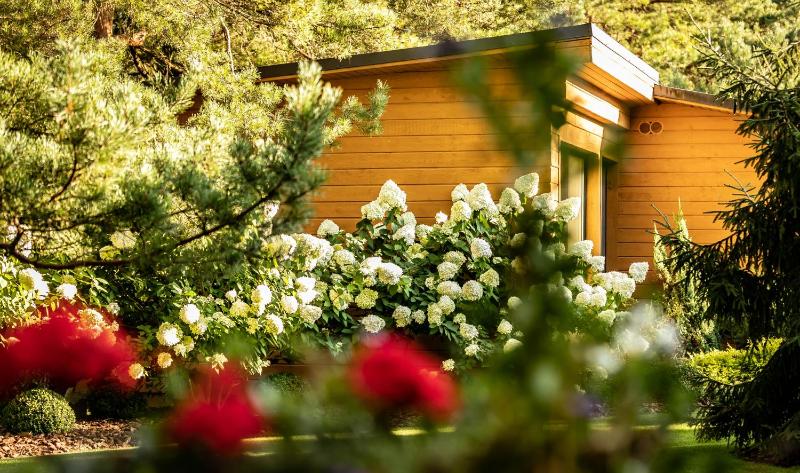 Mini Cottage image 3