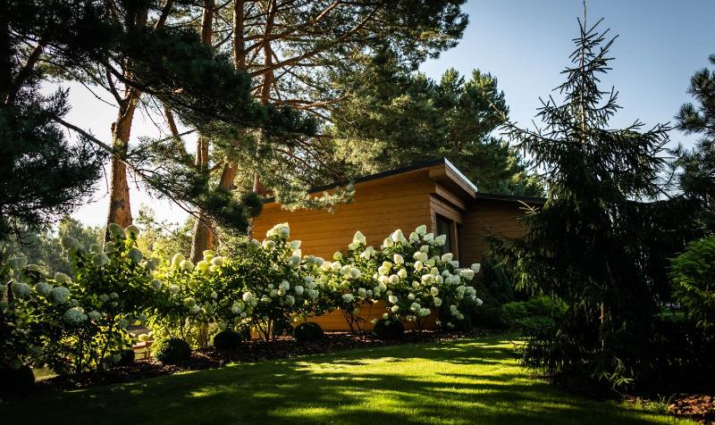 Mini Cottage image 2