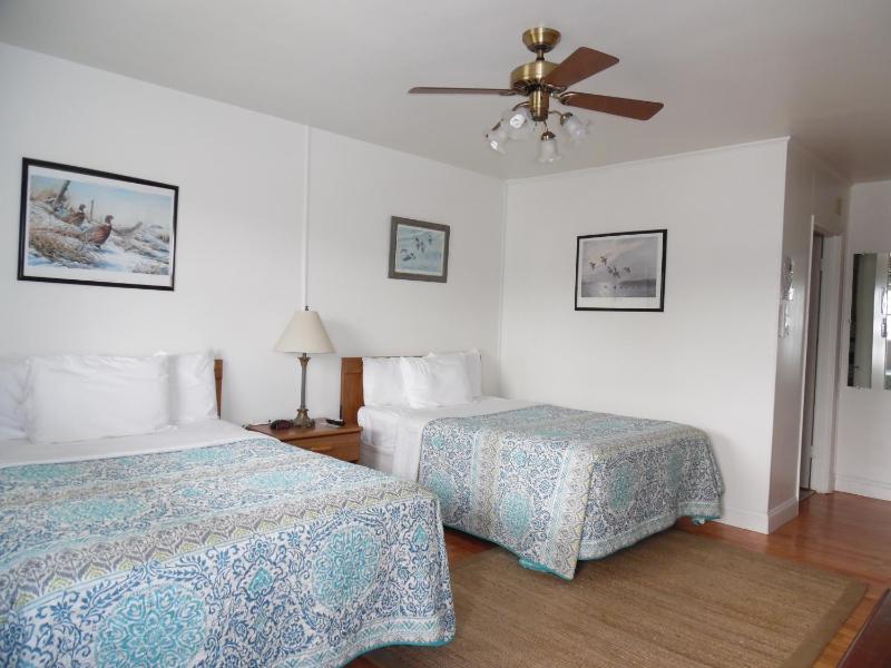 Double Room with Patio image 1