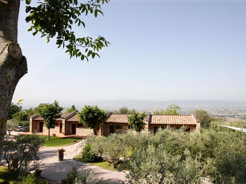 Hotel La Terrazza RESTAURANT & SPA - image 6