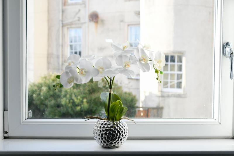 One-Bedroom Apartment image 3