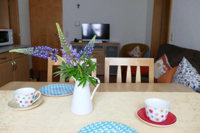 Apartment with Terrace image 4