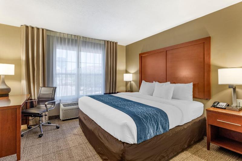 Standard King Room - Non-Smoking  image 2