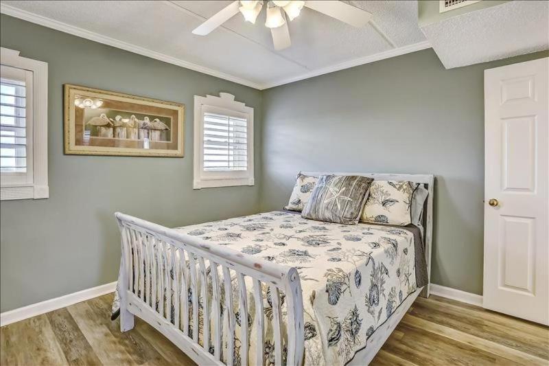 Amelia South - image 37